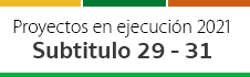 Subtitulo 29 y 31